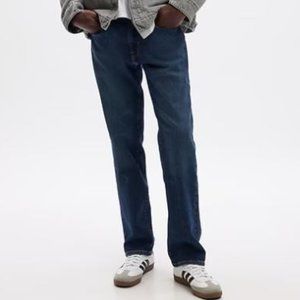 GAP Standard 1969 Standard Fit Resin Rinse Men’s Jeans W29 L34 New